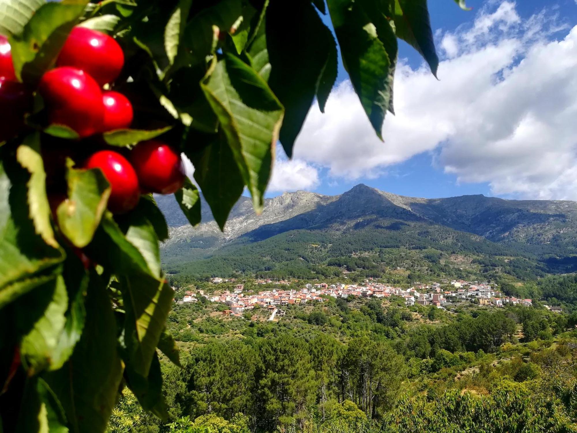 La Albarea By #Cherrygredos S’Arenal Exterior foto