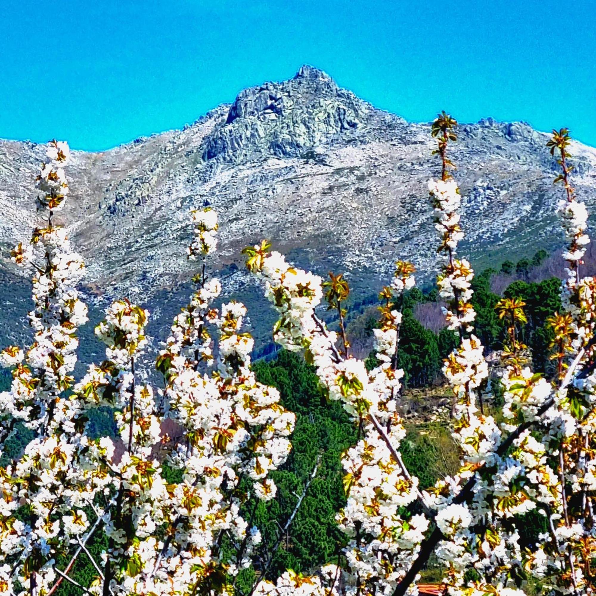 La Albarea By #Cherrygredos S’Arenal Exterior foto